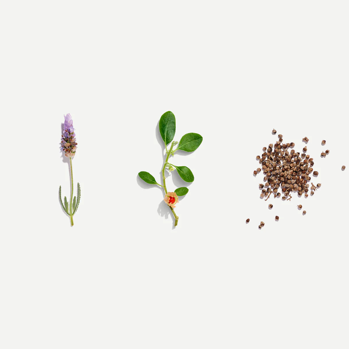 Female Tonic Tea