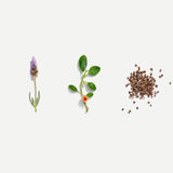 Female Tonic Tea