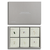 Essentials Collection Tea