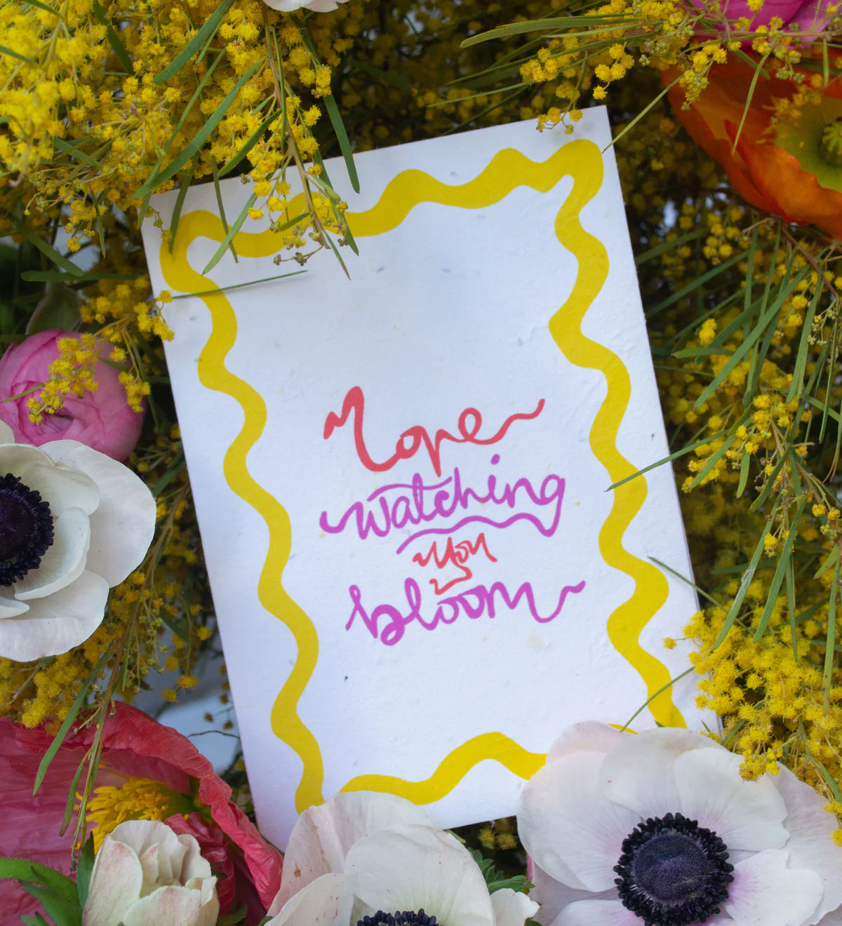 Bloom